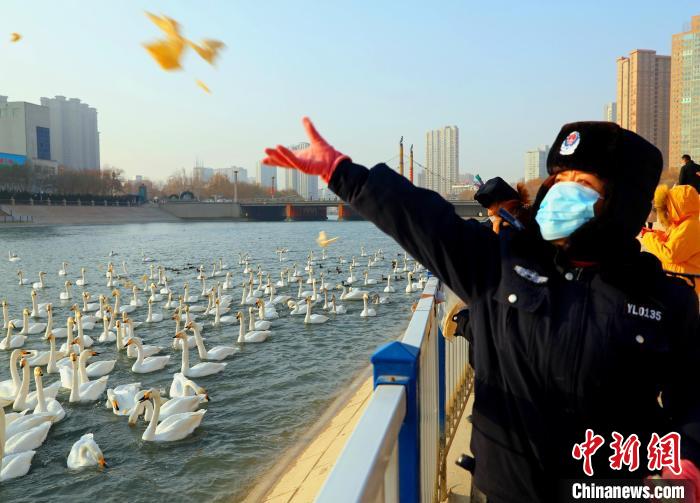 ???? ????? ?? ????? ????? ?????????