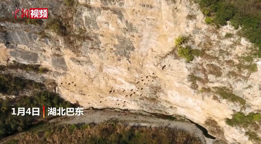 ?????? ?????? ???????? ??????? ?? ??????? ????