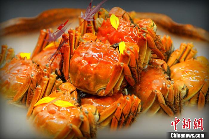 ???? ?????? ???????? ???? ?? ??????? ????? 