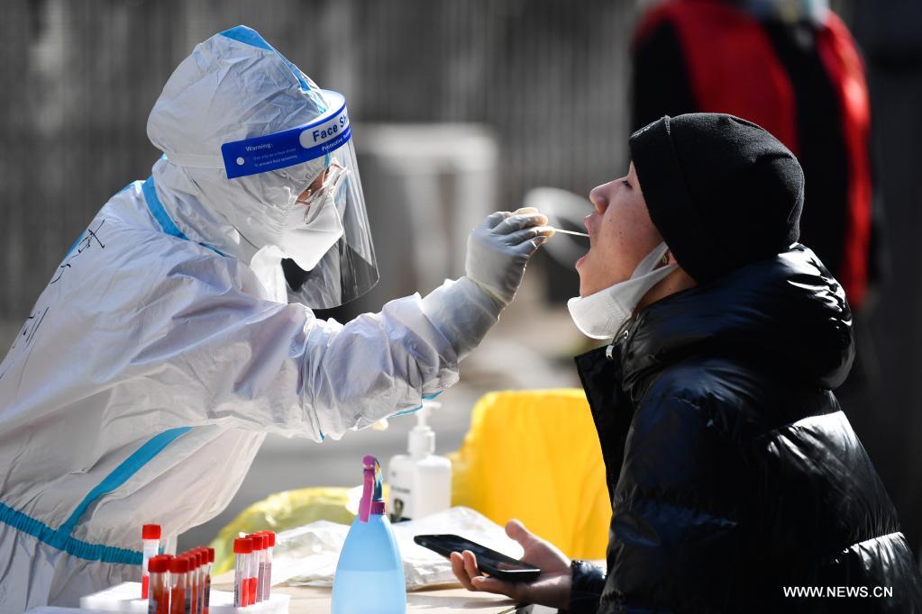 ???? ?????? ?????-19 ?? ???????? ??????? ?? ???? ????? ???? ?????