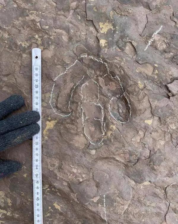 ?????? ???? ????? ??????????? ?? ????? ????????? ?? ????? ?????