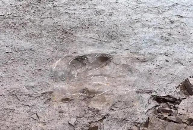 ?????? ???? ????? ??????????? ?? ????? ????????? ?? ????? ?????