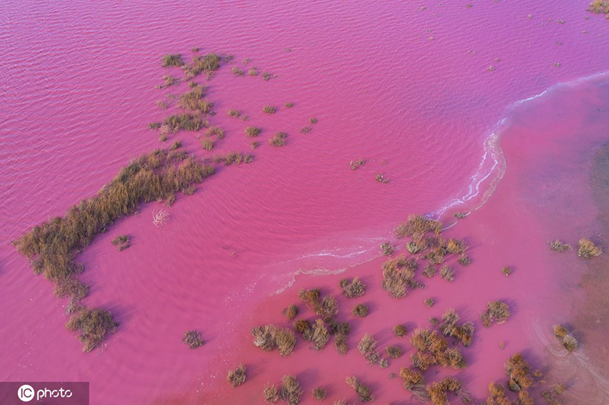 ???????? ?????: ????? ????? ?????? ?????? ??? ?? ???? ???? ?????? ?????? ????? 