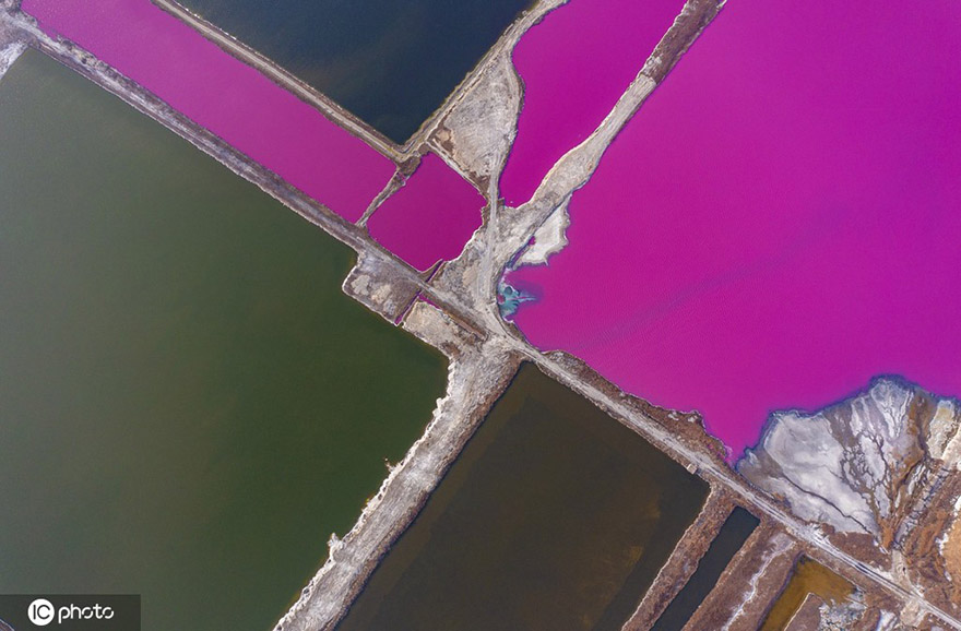 ???????? ?????: ????? ????? ?????? ?????? ??? ?? ???? ???? ?????? ?????? ????? 