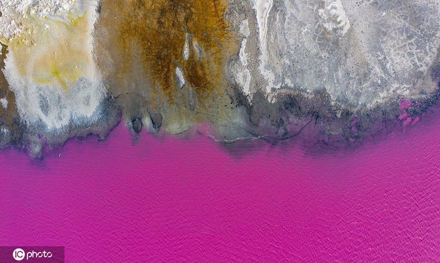 ???????? ?????: ????? ????? ?????? ?????? ??? ?? ???? ???? ?????? ?????? ????? 