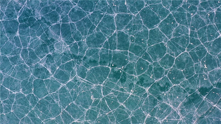 ???? ????? ???? ???? ????? ????? ?? ????????