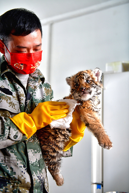 ???????? ????: ????? ?? ???? ???? ????? ????? ??????