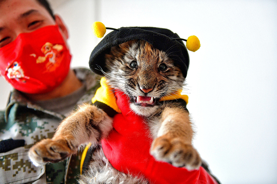 ???????? ????: ????? ?? ???? ???? ????? ????? ??????