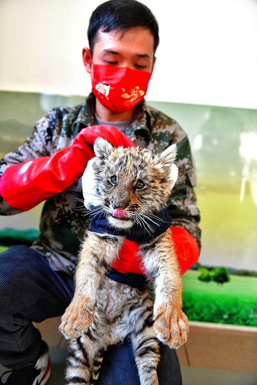 ???????? ????: ????? ?? ???? ???? ????? ????? ??????