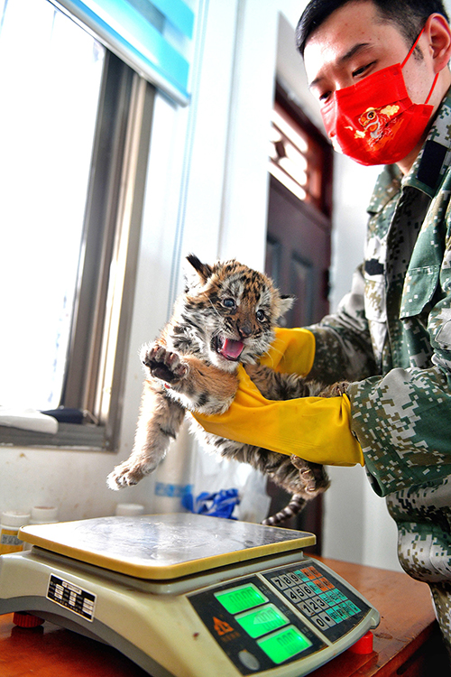 ???????? ????: ????? ?? ???? ???? ????? ????? ??????