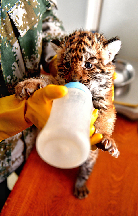 ???????? ????: ????? ?? ???? ???? ????? ????? ??????