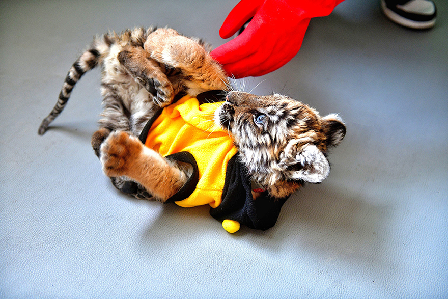 ???????? ????: ????? ?? ???? ???? ????? ????? ??????