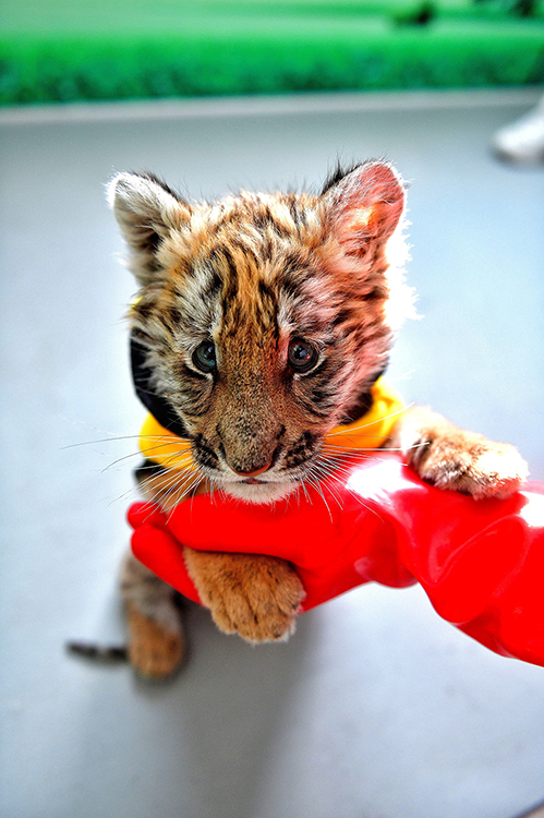 ???????? ????: ????? ?? ???? ???? ????? ????? ??????