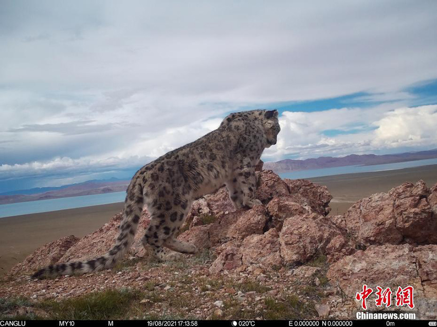 ????? ?????: ???? ??? ????? ?? ?????