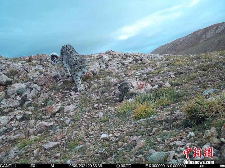 ????? ?????: ???? ??? ????? ?? ?????