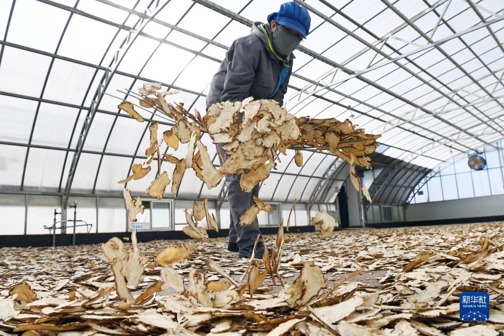 ???????? ?????: ????? ??????? ??????