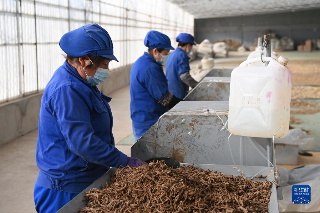 ???????? ?????: ????? ??????? ??????