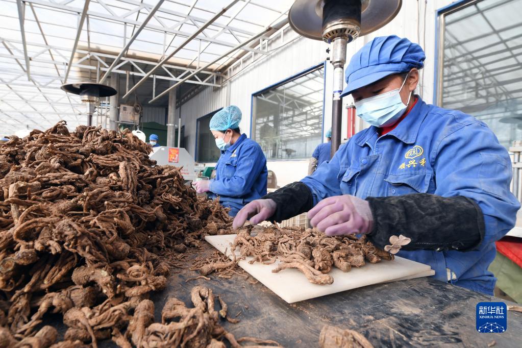 ???????? ?????: ????? ??????? ??????