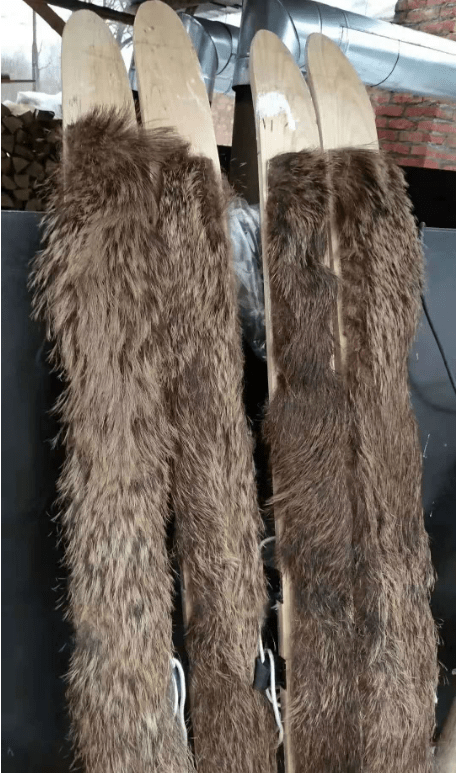 ?????? ????????? ??? ????? ?????? ?? ??????? ??????