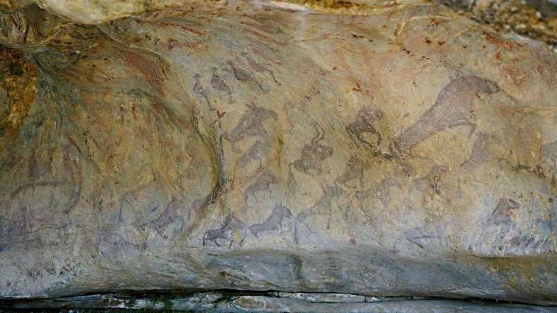 ?????? ????????? ??? ????? ?????? ?? ??????? ??????