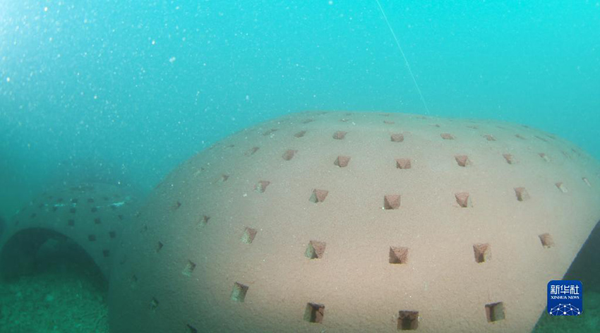 ?????? ??????: ????? ???? ?????? ?????????