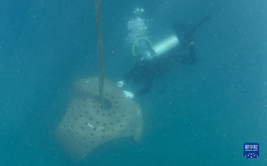 ?????? ??????: ????? ???? ?????? ?????????