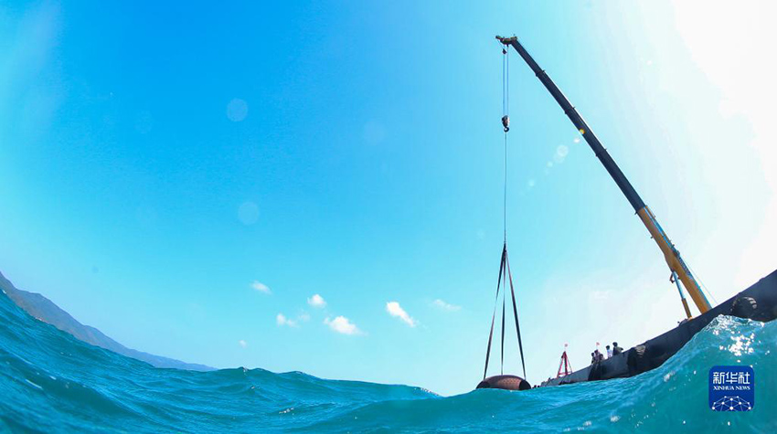 ?????? ??????: ????? ???? ?????? ?????????