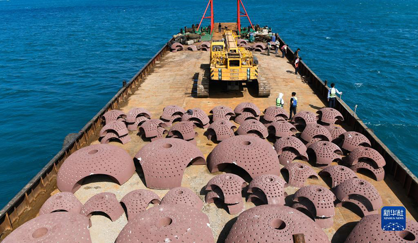 ?????? ??????: ????? ???? ?????? ?????????