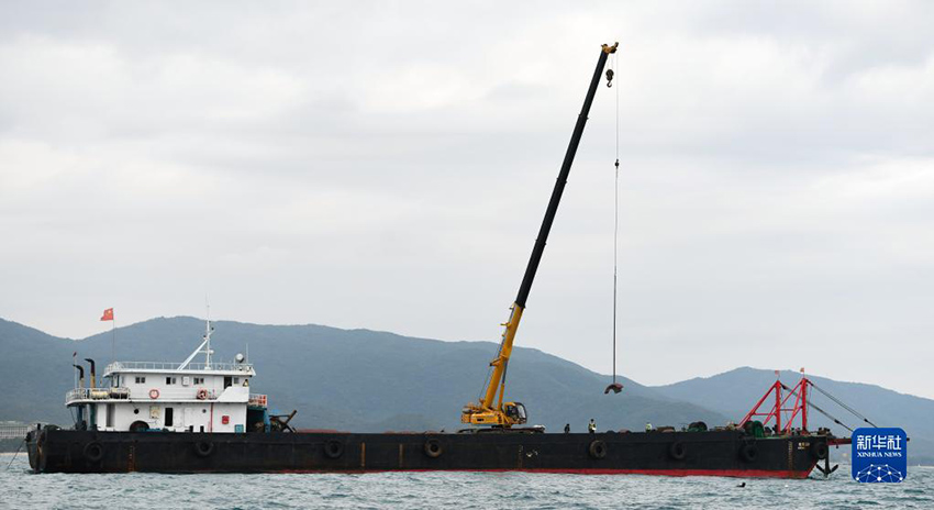 ?????? ??????: ????? ???? ?????? ?????????