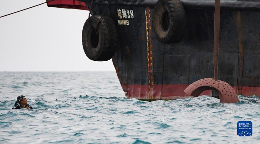 ?????? ??????: ????? ???? ?????? ?????????