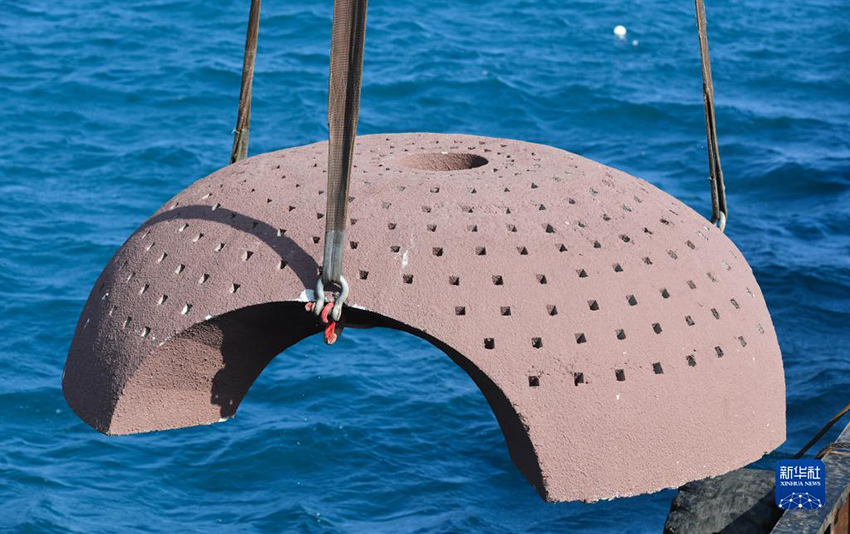 ?????? ??????: ????? ???? ?????? ?????????