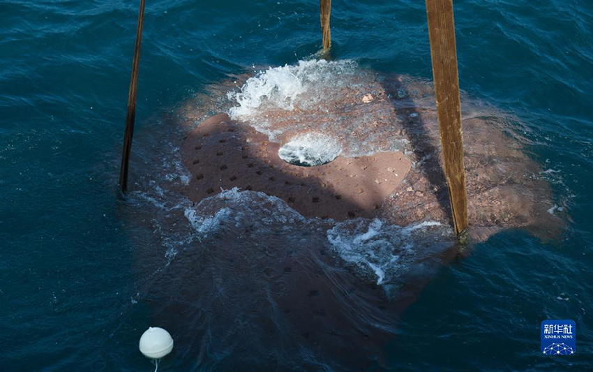 ?????? ??????: ????? ???? ?????? ?????????