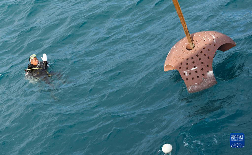 ?????? ??????: ????? ???? ?????? ?????????