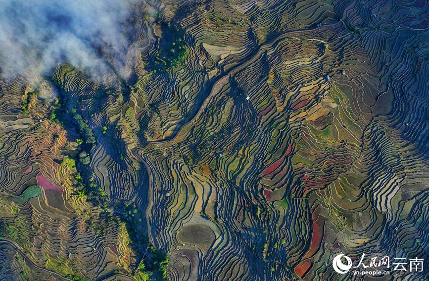 ???? ????? ???????? ??????? ???? ???? ???????