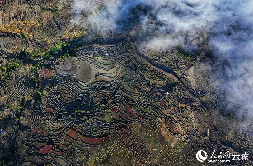 ???? ????? ???????? ??????? ???? ???? ???????