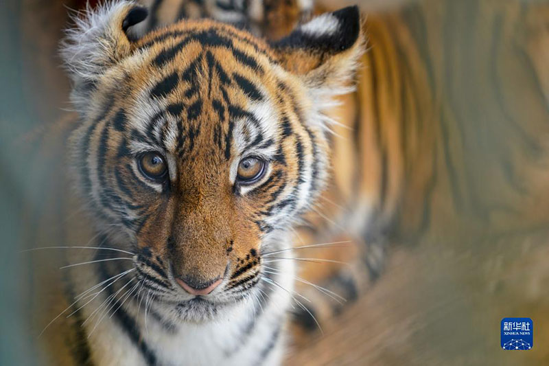 ????? ???? ?????? ?????? ?? ????? ?? ???? ????? ?????? ??????