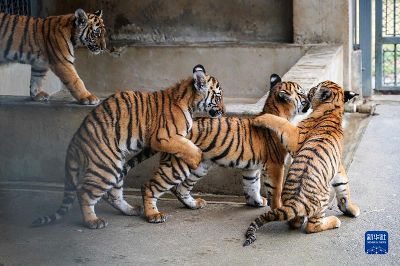 ????? ???? ?????? ?????? ?? ????? ?? ???? ????? ?????? ??????