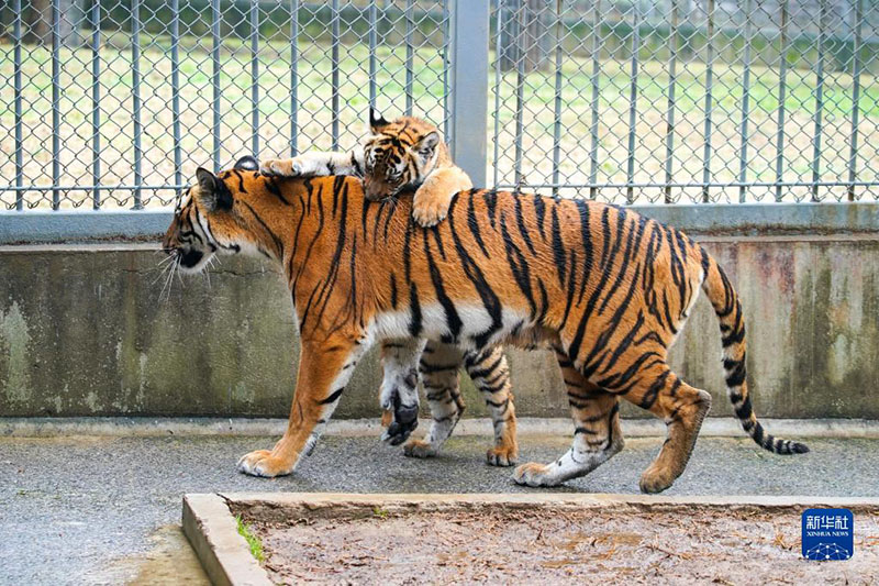 ????? ???? ?????? ?????? ?? ????? ?? ???? ????? ?????? ??????