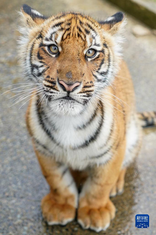 ????? ???? ?????? ?????? ?? ????? ?? ???? ????? ?????? ??????