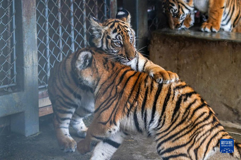 ????? ???? ?????? ?????? ?? ????? ?? ???? ????? ?????? ??????