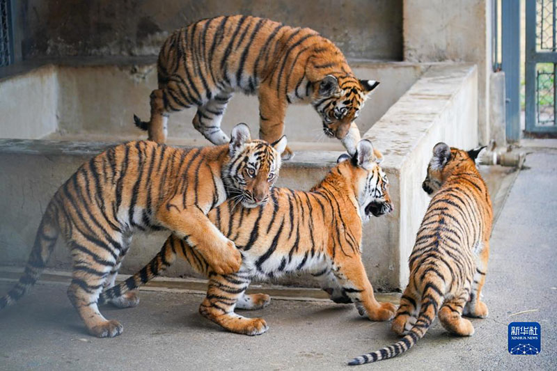 ????? ???? ?????? ?????? ?? ????? ?? ???? ????? ?????? ??????