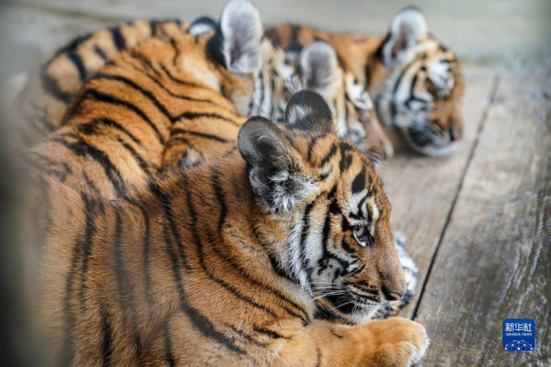 ????? ???? ?????? ?????? ?? ????? ?? ???? ????? ?????? ??????