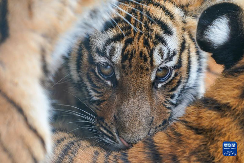 ????? ???? ?????? ?????? ?? ????? ?? ???? ????? ?????? ??????