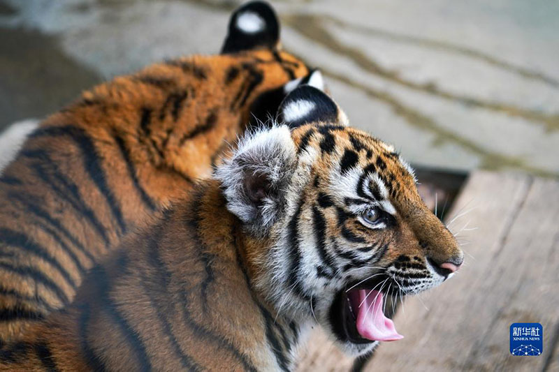 ????? ???? ?????? ?????? ?? ????? ?? ???? ????? ?????? ??????