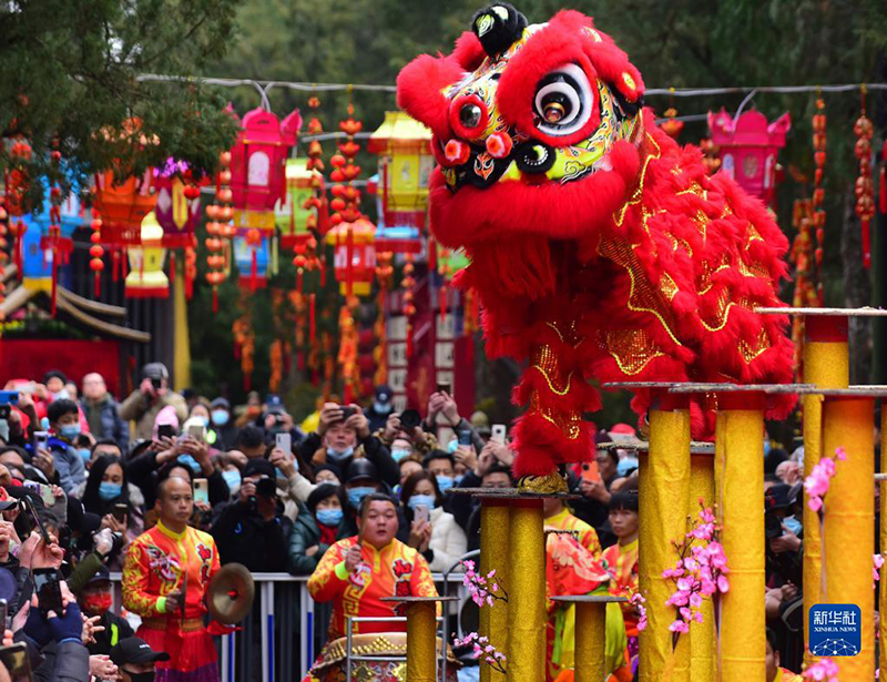 ????? ???? 251 ????? ???? ?????? ???? ???? ??? ??????