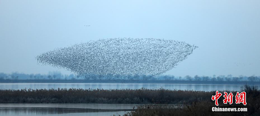 ????? ?????? ???????? ???? ??? ????? ??????? ???? ??? ???? ?? ????? ?????