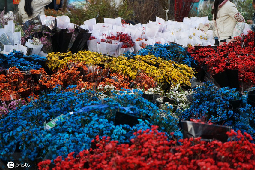 ?????? ??? ?????? ?? ?????? ?????? ?? ?????? ??? ????