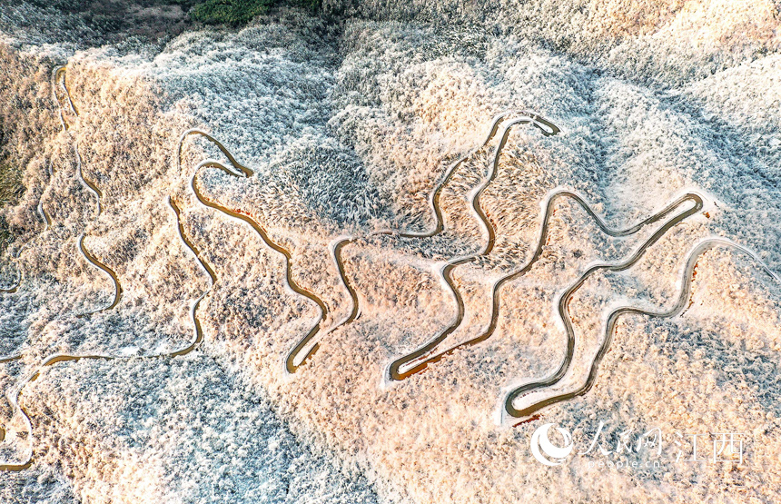 ???? ??? ?????? ??????? ??? ???? ??????? ???????? ??? ??????