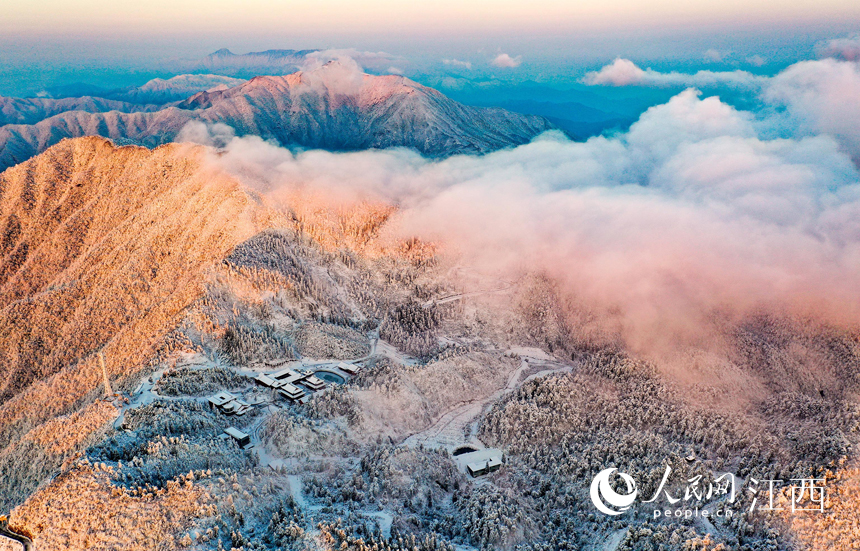 ???? ??? ?????? ??????? ??? ???? ??????? ???????? ??? ??????