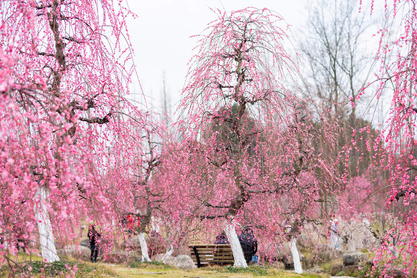 ????? ??????? ????? ?? ?????? ???????